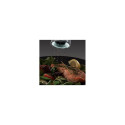 Russell Hobbs soola- ja pipraveski 23460-56