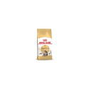 Dry Cat Food - Royal Canin Fbn Maine Coon