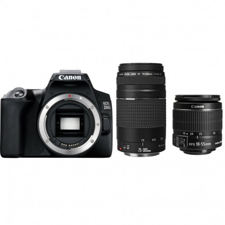 Canon EOS 250D + EF-S 18-55mm IS II + EF 75-300mm III