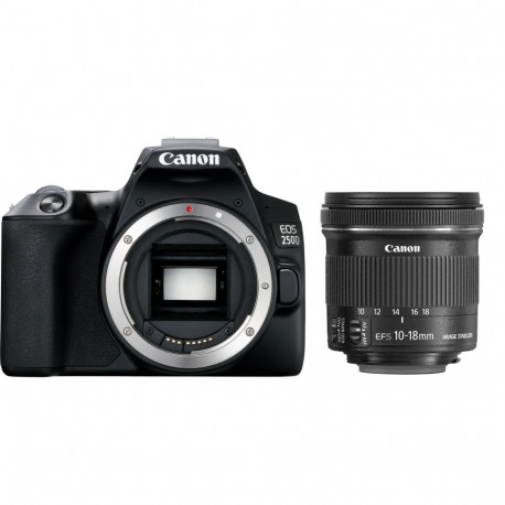 Canon EOS 250D + EF-S 10-18mm IS STM