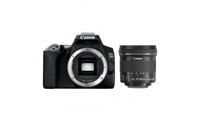 Canon EOS 250D + EF-S 10-18mm  IS STM