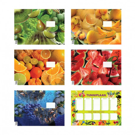 Töövihikupaber 495x354 5lehte+tunniplaan rullis