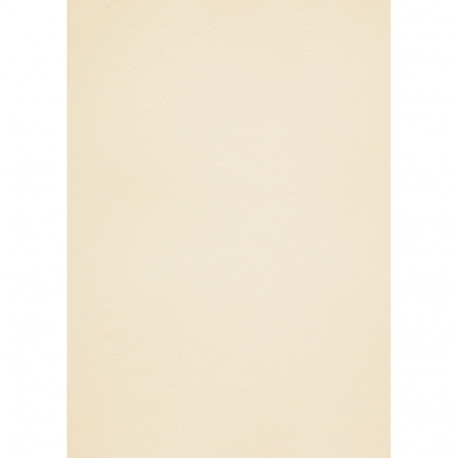 Disainpaber Curious Metallics White Gold A4 250g 10 lehte pakis