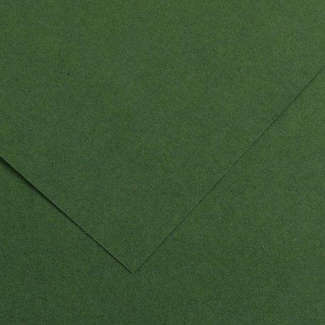 Kartong Vivaldi 50x65 /240g 31 metsaroheline