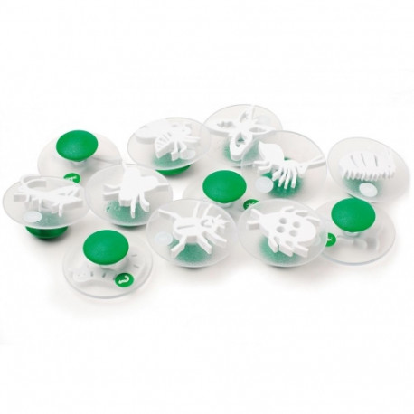 Templite komplekt Putukad, D 7,5 cm, 12 tk