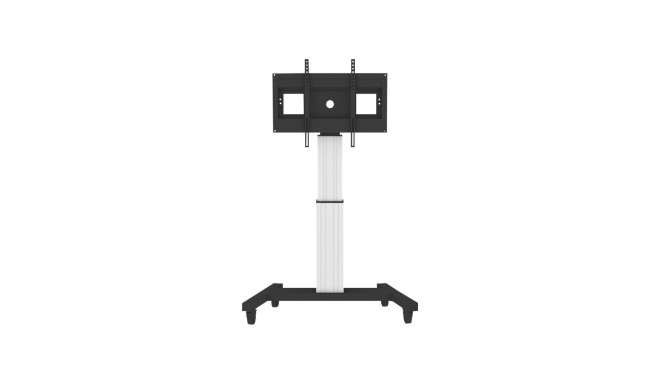 Ratastega TValus NewStar, elektriliselt reguleeritav kõrgus 140 - 180 cm - VESA 200x200 kuni 800x600