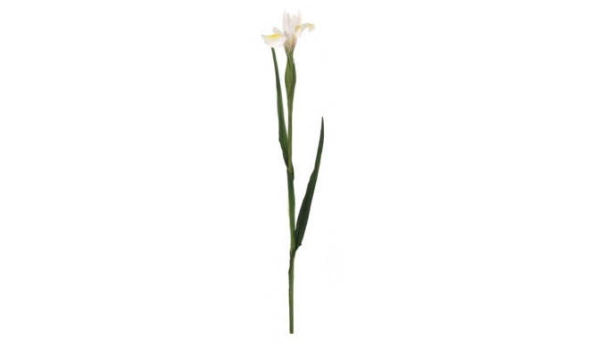 Kunstlill IIRIS/ valge 70cm