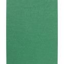 Kartong A3 180g 20 lehte, roheline