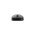 Philips SPK7307BL/00 mouse Office Ambidextrous RF Wireless Optical 1600 DPI