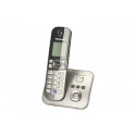 KX-TG6821 Dect/Grey