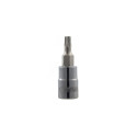 1/4" torx padrun T-40