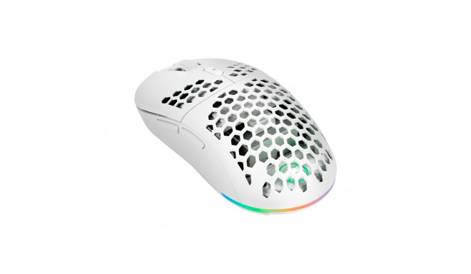 GAMIAC PX71 mängur ambidekster juhtmevaba + USB Type-A optiline hiir 16000 DPI