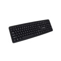 Esperanza EK134 keyboard USB Black