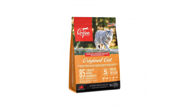 Dry Cat Food - ORIJEN Cat Original 1.8kg Grain-Free Chicken