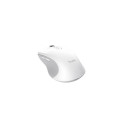 Trust 25674 mouse Universal Ambidextrous Bluetooth 3200 DPI