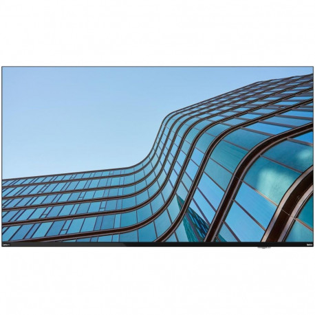 "Lenovo THINKVISION E55"