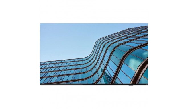 "Lenovo THINKVISION E55"