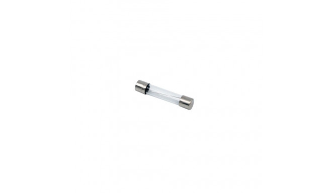 Klaaskaitse 10A  6,3x32mm