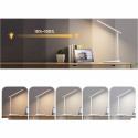 Hawk HW-LAMP01 Desk Lamp White