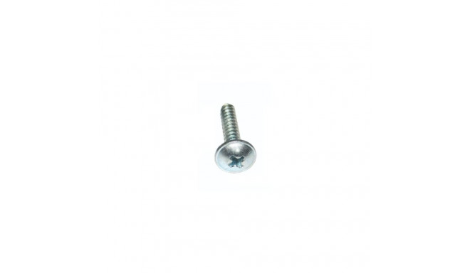 Kruvi 25x4,8mm