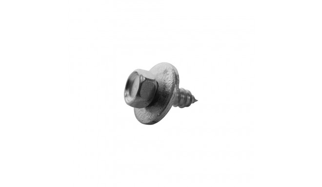 Kruvi seibiga 16x5,5mm