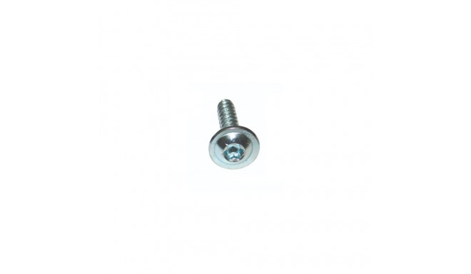 Kruvi 13x4,2mm torx