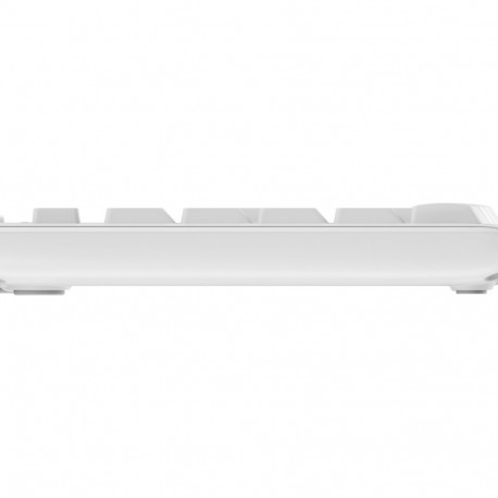 Logitech klaviatuuri ja hiire komplekt MK295 (PAN) juhtmevaba 2.4GHz Nordic, valkjas