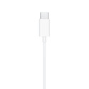 TECH-PROTECT ULTRABOOST TYPE-C EARPHONE CORE G2 WHITE