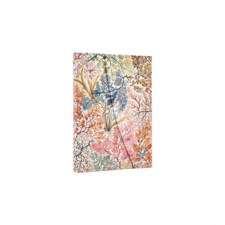 Raamatkalender 2026a Paperblanks Anemone Midi nädal horisontaalne