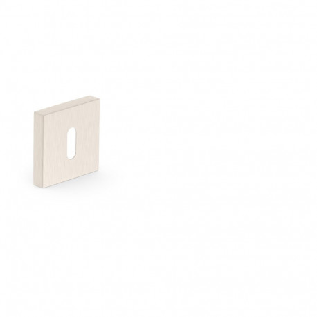 ESCHUTCHEON FOR KEY NICKLE