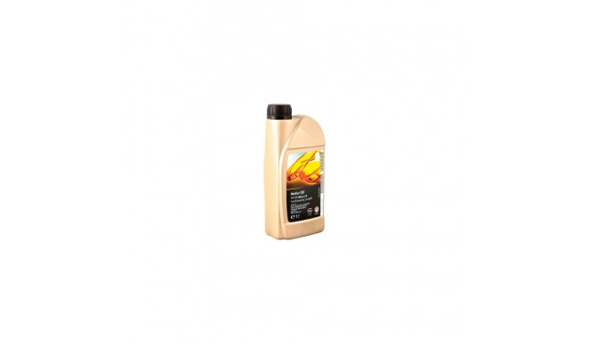 1L GM Dexos II Longlife 5W30 mootoriõli