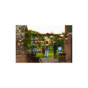 Smart Lights Twinkly Festoon 20 RGB 10 m valguskett