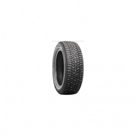 255/40R19 Nankang SW-9 naastrehv 100T XL