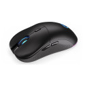 MOUSE USB OPTICAL WRL GEM PLUS/BLACK EY6A013 ENDORFY
