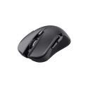 MOUSE USB OPTICAL WRL YBAR/GTX923 24888 TRUST