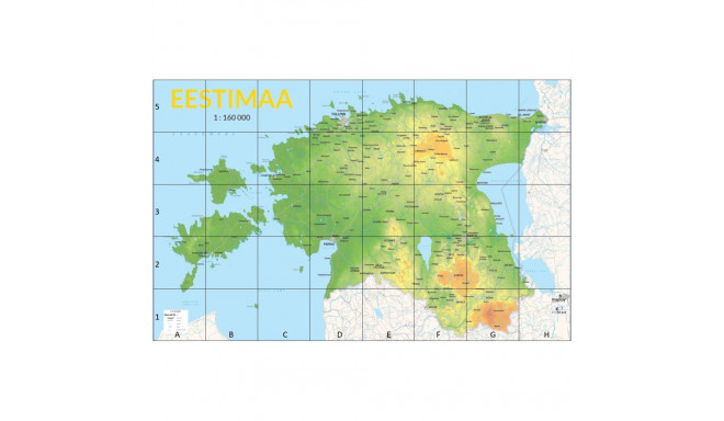 TTS Bee-Bot Eesti kaardiga matt