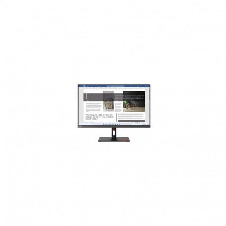 Lenovo ThinkVision S27i-30 computer monitor 68.6 cm (27") 1920 x 1080 pixels Full HD LED Gr