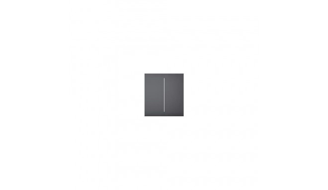 SMART CENTERBUTTON 2G/GRAPHITE 46028 AJAX 46028 (4823114023163)