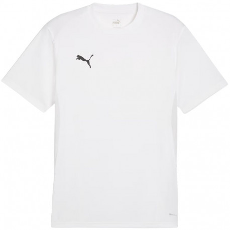 Puma meeste särk TeamGoal Jersey 658636 04 2XL, valge