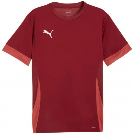 Puma meeste särk teamGoal Matchday Jersey 705747 09 2XL, bordopunane