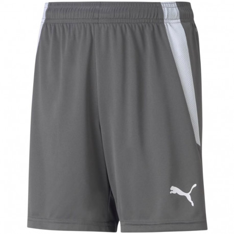 Puma laste lühikesed püksid teamLIGA Shorts Jr Smoked 704931 13 164cm, hallid
