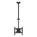 MB PUBLIC CEILINGMOUNT MEDIUM SINGLE TUV