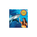 Abacus Steam Lab Shark Lab