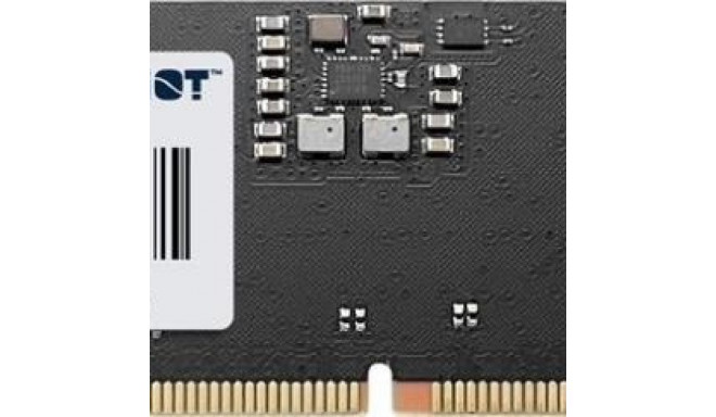 Memory Signature DDR5 8GB/4800(1*8GB) CL40