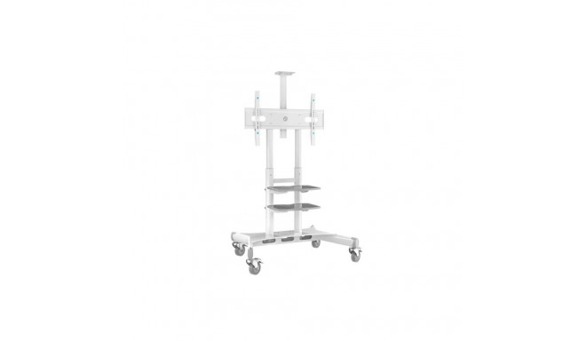 TV SET ACC MOBILE STAND/50-86"/WHITE TS1881-W ONKRON