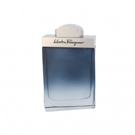 Ferragamo Subtil Pour Homme Eau de Toilette (100ml)