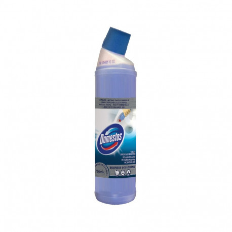 WC puhastaja DOMESTOS Professional Toilet Limescale Removal 750ml