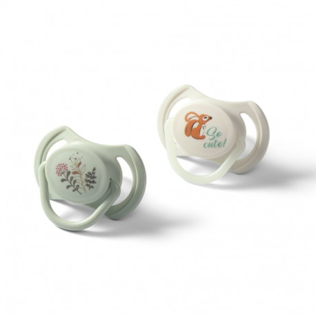 Babyono symmetrical silicone soothers 6-18 m 1669/02