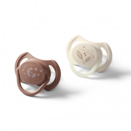 Babyono symmetrical silicone soothers 18m+ 1669/03