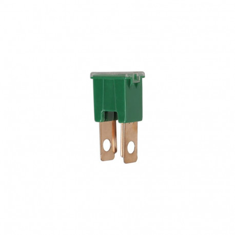 Kaitse jaapani isane 40A